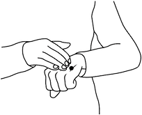 Brain Balancer Illus Transparent.png